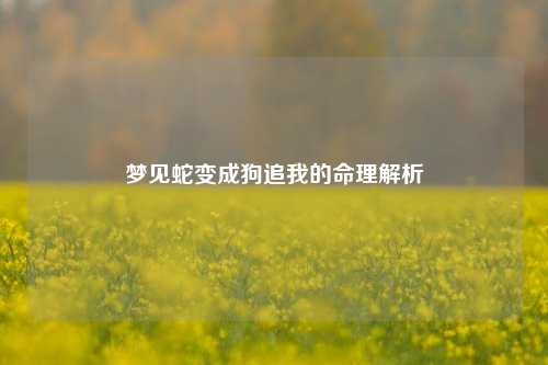 梦见蛇变成狗追我的命理解析